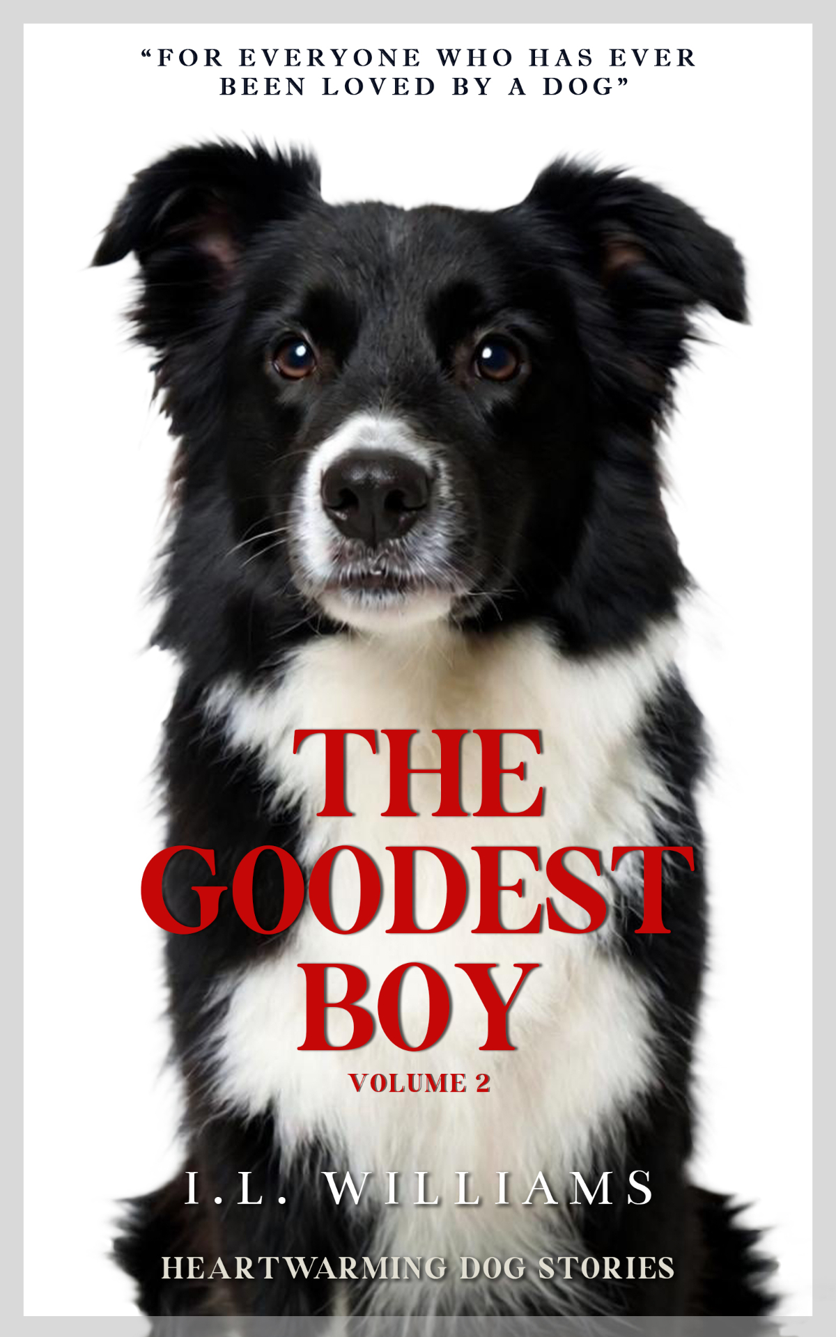 The Goodest Boy — Volume 2 — book cover